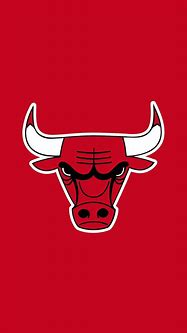 Image result for Chicago Bulls NBA No. 7