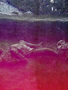 Image result for Pompeii Eruption Bodies
