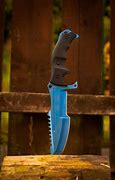 Image result for Huntsman Knife Blue Steel