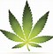 Image result for Adobe Stock Marijuana Leaf Cartoon