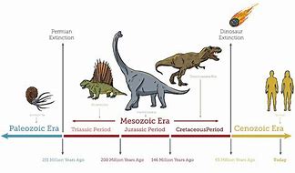 Image result for Dinosaur Evolution