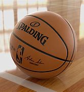 Image result for NBA Spalding Basketball Color