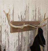 Image result for Deer Antler Coat Hooks DIY
