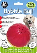 Image result for Battery Chew Toy