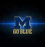 Image result for Football Fan Holding Go Blue Sign