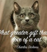 Image result for Cute Cat Sayings Quotes