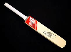 Image result for Promo Mini Cricket Bats