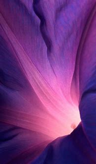 Image result for Apple iOS 8 iPhone Wallpaper