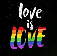 Image result for LGBT New Love Is Love Meme