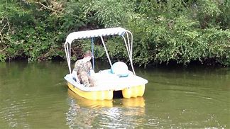 Image result for Pedalo Pelican