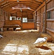 Image result for Animal Barn Inside