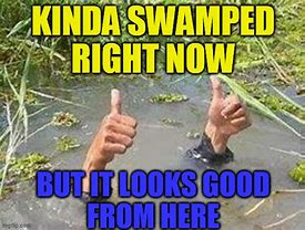 Image result for Feeling Swamped Meme