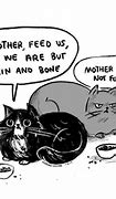 Image result for Cat Demanding Food Meme