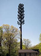 Image result for Tree Tower Design