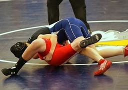 Image result for Wrestling Pins the Press
