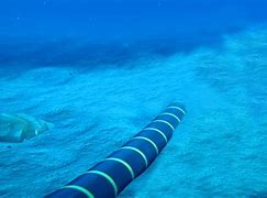 Image result for Submarine Cable Corrosion