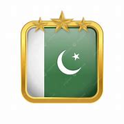 Image result for Pakistani Wrestler