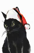 Image result for Black Cat Christmas Cards