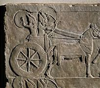 Image result for Mesopotamia Chariot