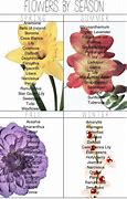 Image result for Spring Flower Planting Guide