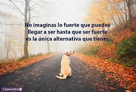 Image result for abaldomamiento