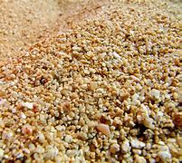 Image result for Round Sand Grain