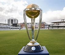 Image result for cricket world cup final