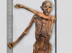 Image result for 4000 Year Old Man