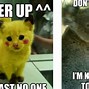 Image result for Memes to Cheer Someone Up