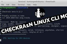 Image result for Checkra1n Linux
