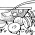 Image result for Cartoon Punch Bowl