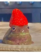 Image result for Aesthetic Frog in Hand