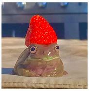 Image result for Laptop Wallpaper Meme Frog