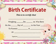 Image result for Funny Birth Certificate Template