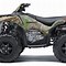 Image result for RC Green Kawasaki Brute Force