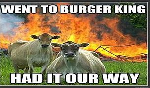 Image result for Evil Cow Meme