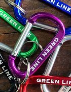 Image result for Double Carabiner