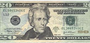 Image result for Picture of 20 Dollar Bill