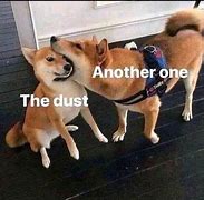 Image result for Another One Bites the Dust Dog Meme