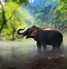 Image result for like elephants