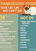 Image result for Thanksgiving Food Safe for Cats
