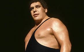 Image result for Andre the Giant Sports