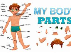 Image result for 10 Body Parts