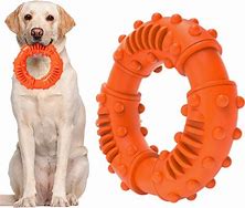 Image result for Durable Chew Toys for Dogs