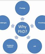 Image result for PhD Program Step by Step