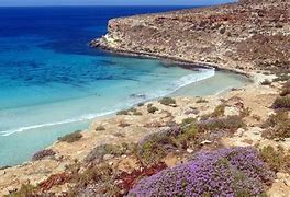Image result for Lampedusa Rabit Beach