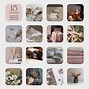 Image result for Soft Aesthetic Icons
