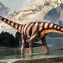 Image result for Large Picture Diplodocus Dinosaur