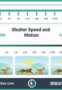 Image result for Shutter Speed Motion