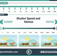 Image result for Shutter Speed